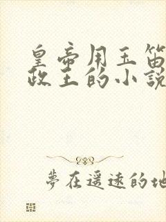 皇帝用玉笛整摄政王的小说