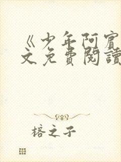 《少年阿宾》全文免费阅读