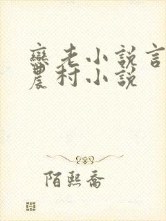 恋老小说言情网农村小说