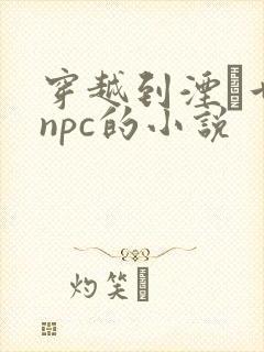 穿越到湮婸世界npc的小说