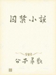 囚禁小说