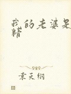 我的老婆是狐狸精