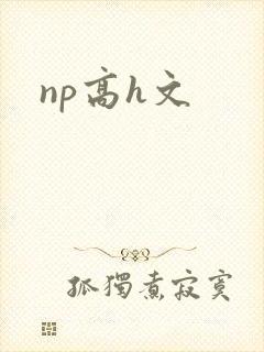 np高h文