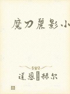 魔刀丽影小说