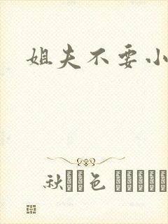 姐夫不要小说