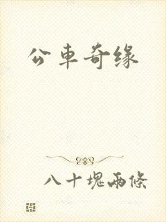 公车奇缘