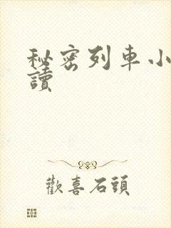 秘密列车小说阅读