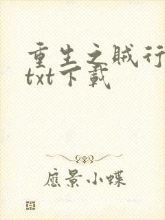 重生之贼行天下txt下载
