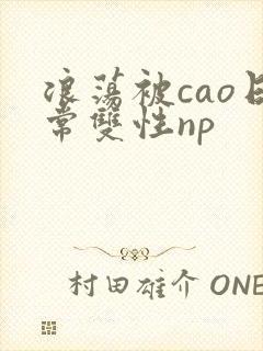 浪荡被cao日常双性np