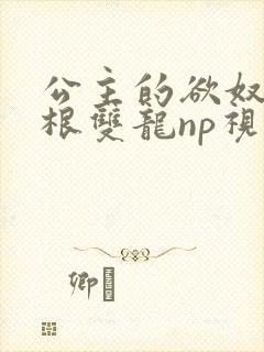 公主的欲奴h四根双龙np视频