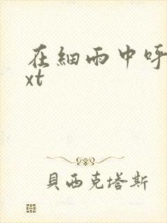 在细雨中呼喊txt