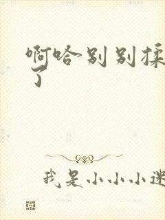 啊哈别别揉那处了