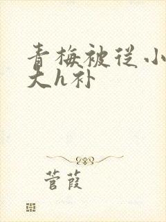 青梅被从小摸到大h补