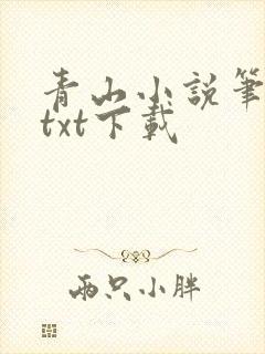 青山小说笔趣阁txt下载