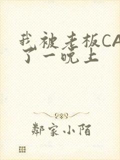 我被老板CAO了一晚上