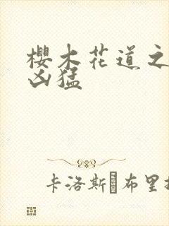 樱木花道之重生凶猛