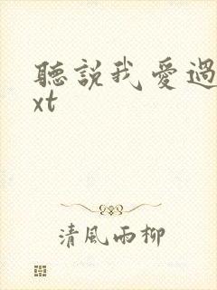 听说我爱过你txt