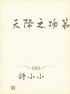 天降之物第一季