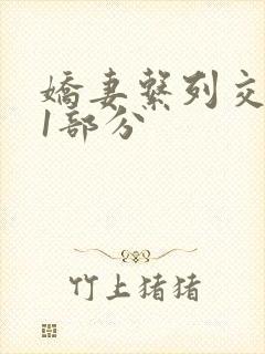 娇妻系列交换11部分