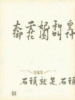 太子妃和皇帝在御花园叫什么小说