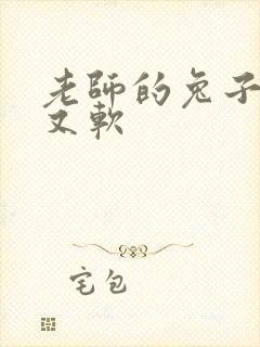 老师的兔子又大又软