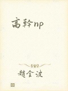 高干np