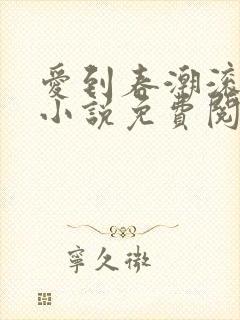 爱到春潮滚滚来小说免费阅读