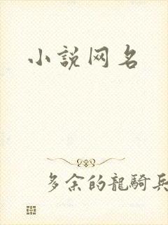 小说网名