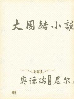 大团结小说阅读