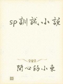 sp训诫小说
