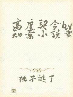 高度契合by洛知意小说笔趣阁无弹窗