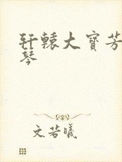 轩辕大宝芳菲雅琴