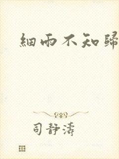 细雨不知归