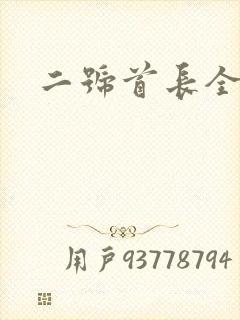 二号首长全集