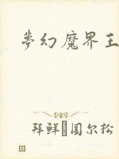 梦幻魔界王