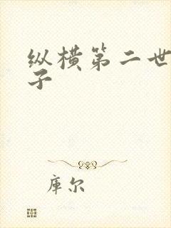 纵横第二世界宽子
