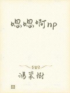 嗯嗯啊np