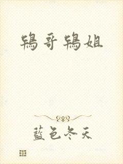 鸨哥鸨姐