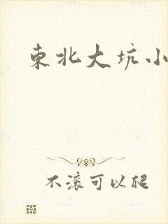 东北大坑小说