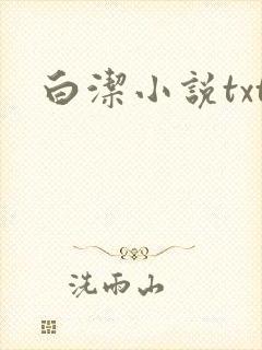 白洁小说txt