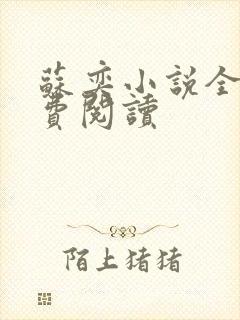 苏奕小说全文免费阅读