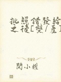 批照错发给情敌之后[双/产]