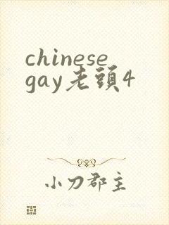 chinesegay老头4