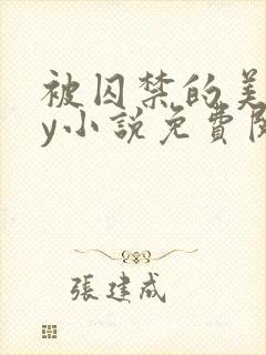 被囚禁的美人by小说免费阅读