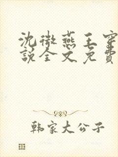 沈微燕王穿越小说全文免费阅读