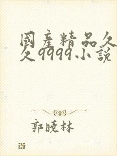 国产精品久久久久9999小说