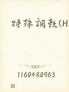 特殊调教(H)