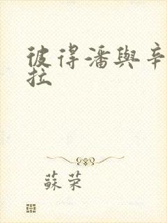 彼得潘与辛德瑞拉