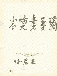 小娇妻又撩又甜全文免费阅读