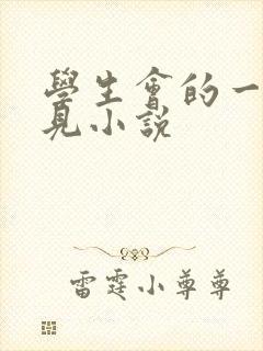 学生会的一己之见小说